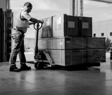 Pallet Delivery to Germany: Reliable Freight Services from Hub Freight